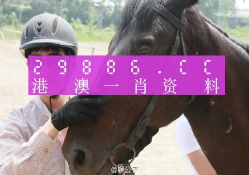 澳门一肖一码必中一肖今晚_详细解答解释落实_实用版713.452